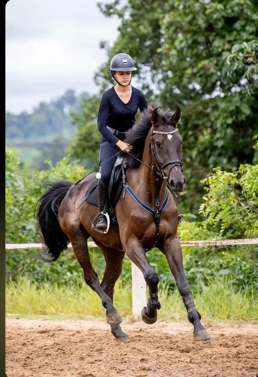 Amazona ao trote em cavalo escuro na pista do centro hípico