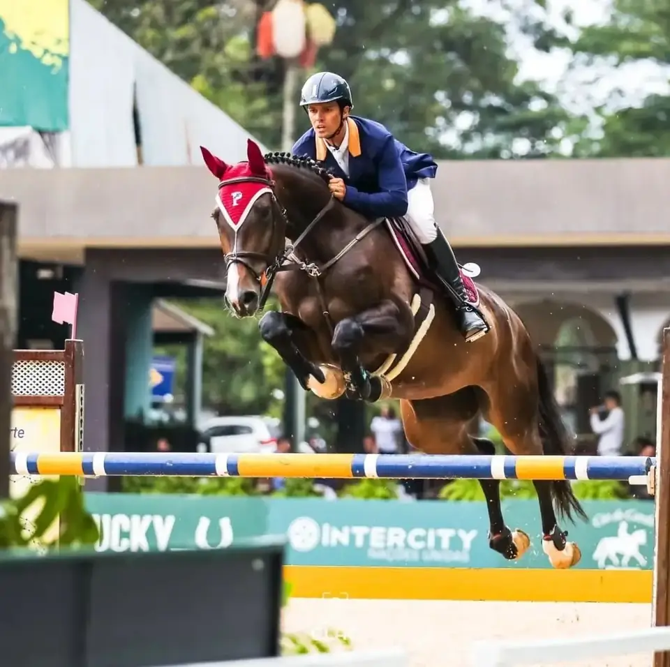 Conjunto salta obstáculo em prova de hipismo