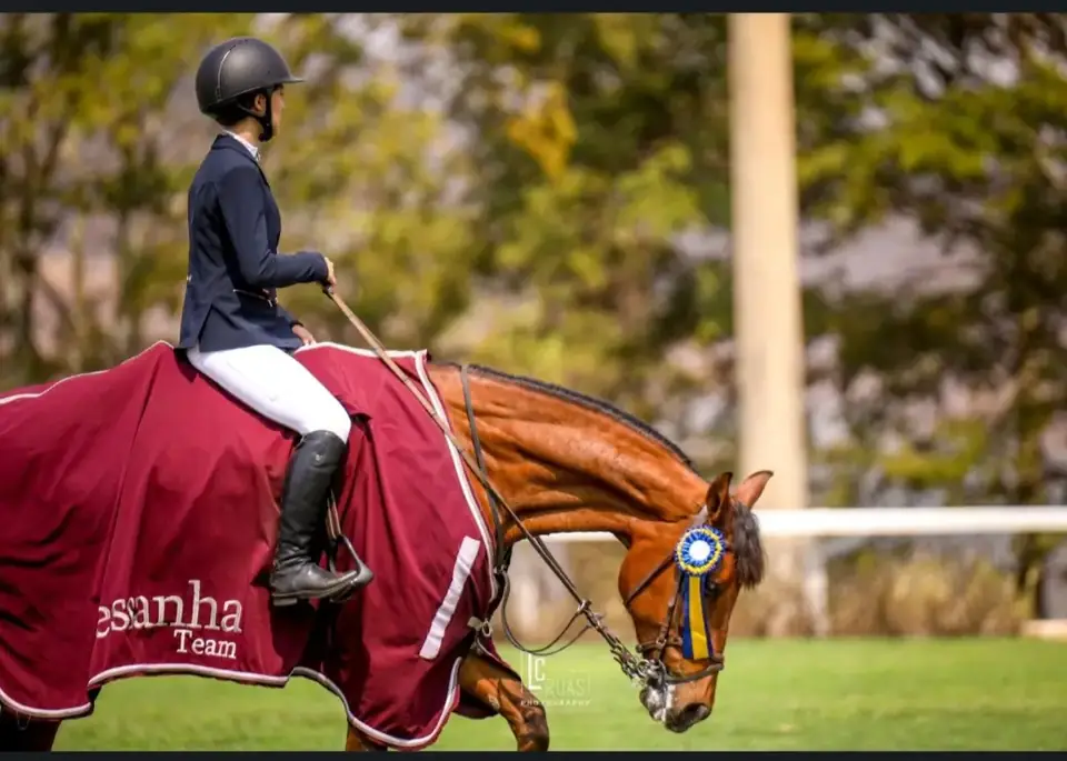 Cavalo com capa do Pessanha Team após a prova